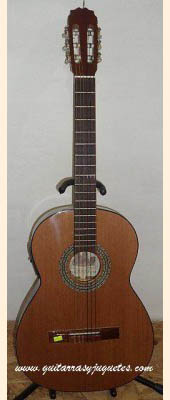 Guitarra Electroacústica de paloescrito con tapa de pinabete imagen 4